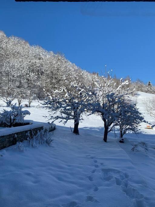 Meribel Chalet De Severine Les Allues 外观 照片